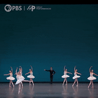 Ballet Dancing GIF by GREAT PERFORMANCES | PBS