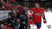 National Hockey League Fist Bump GIF by NHL