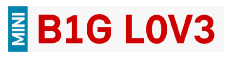 Big Love Sticker by MINI