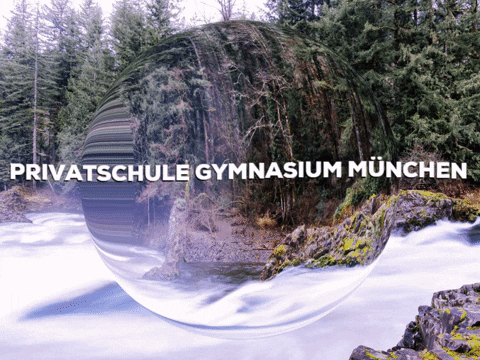 Fun Party GIF by PrivatschulenPORTAL.de