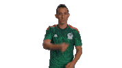 World Cup Mexico Sticker by MiSelecciónMX