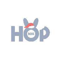 Box Noel Sticker by Hopbox