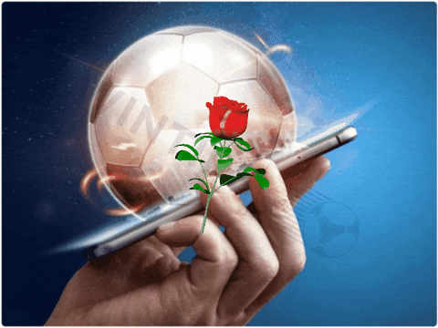 wintipscom giphygifmaker giphyattribution wintips GIF