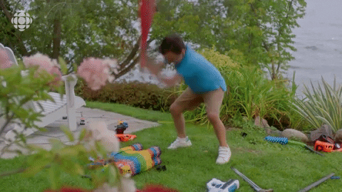 baroness von sketch GIF