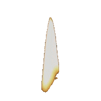 Fire 3D Sticker