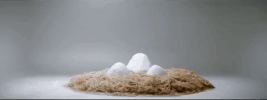 durag vs headband GIF by Action Bronson