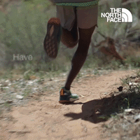 Have You Ever - The North Face