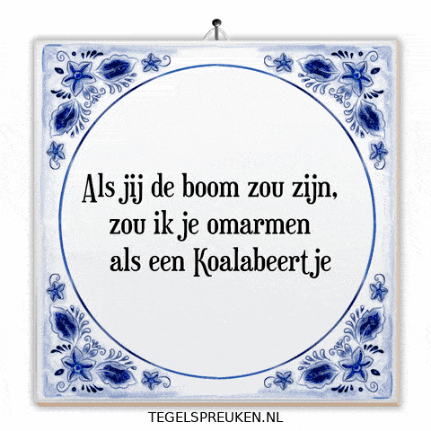 Humor Wijsheid GIF by Tegelspreuken.nl