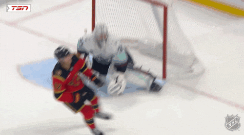 Happy Ottawa Senators GIF by NHL