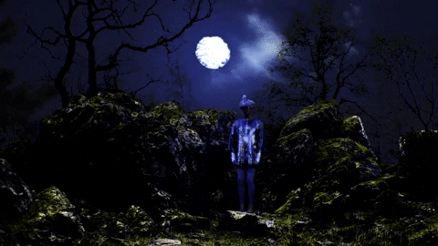 dont let me sleep shana cleveland GIF by Hardly Art