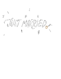 Just Married Wedding Sticker by Dani Ford