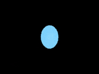 Art Animation GIF by Lucie Mullen