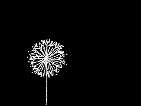 Float Away GIF by Barbara Pozzi