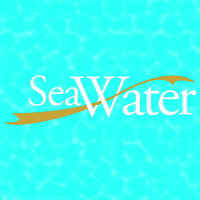 seawaterofficial summer holiday sea luxury GIF