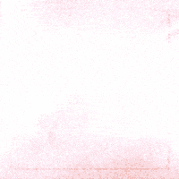 Ssf GIF by Terra Brasilis