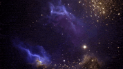 You Are The Universe GIF
