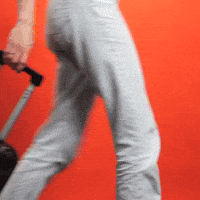 Travel Rolling GIF by Perspectief