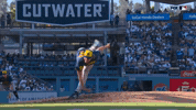 Celebrate Milwaukee Brewers GIF by MLB