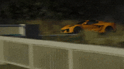 Need For Speed Cali GIF by jesse_iwuji