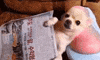 chilling GIF