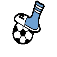 pilohotels soccer foot pilo pilohotels Sticker