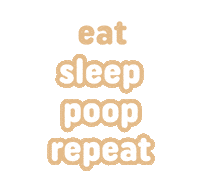 Eat Sleep Mimiflo Sticker by Mimiflo® Philippines