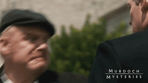 Knock Out Fight GIF by Murdoch Mysteries