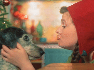 everwhatproductions giphyupload love dog bff GIF