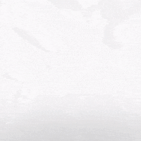 Hockey Eisbaeren GIF by Eisbären Berlin