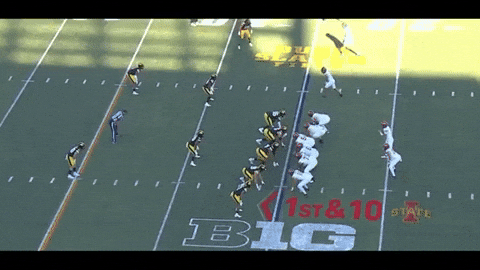 DBSports giphyupload GIF