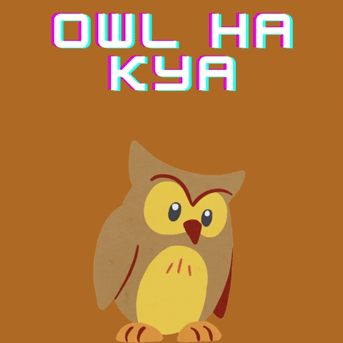 tejussrivastava giphyupload india owl tejus srivastava GIF