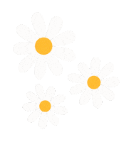 Daisy Flower Summer Sticker
