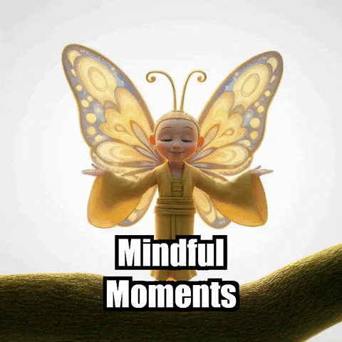 Mindfulness Observation GIF by BuddhaFlyJourney