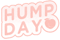 Wednesday Hump Day Sticker by Brazilian Booty Lift