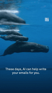 Artificial Intelligence Ai GIF by PBS NewsHour