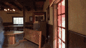 attack window GIF by truTV