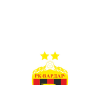 Sport Handball Sticker by SEHA