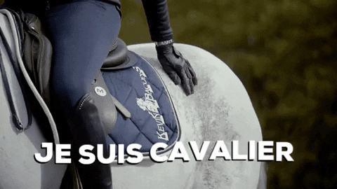 EQUIDEO giphygifmaker cheval cavalier chevaux GIF