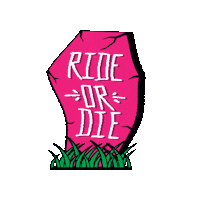 Skateboarding Sticker by True Skate