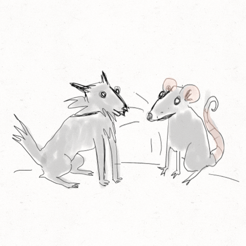 samuelchapman giphyupload wilf vövvel GIF