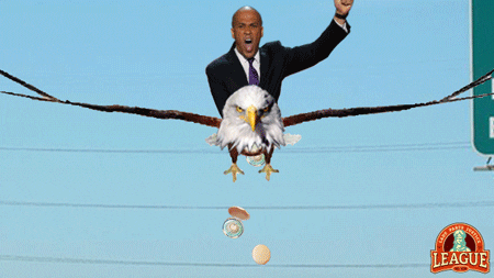 Flying New Jersey GIF by Abortion Access Front