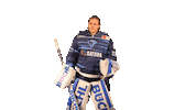 ercingolstadt hockey save erc erci Sticker