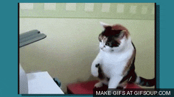 home office GIF