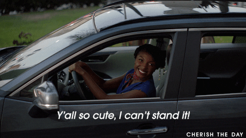 Love Story Wedding GIF by Cherish The Day