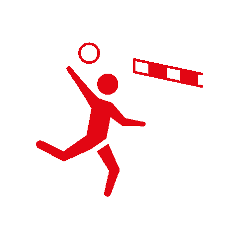 Faustball Sticker by Schweizerischer Turnverband
