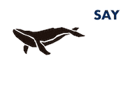 Pantai ocean sustainable eco whale Sticker