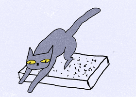 neptunyxa cat kitty funnycat litterbox GIF