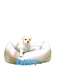 아르르 Sticker by arrr_official