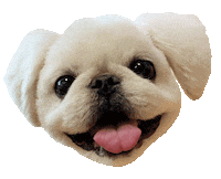 Dog 강아지 Sticker
