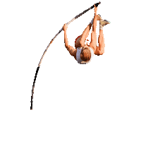 Pole Vault Spirit Sticker by Gill Athletics